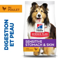 Hill's Science Plan Sensitive Stomach & Skin Medium & Large Adult au poulet - croquettes chien