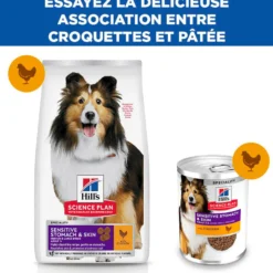 Hill's Science Plan Sensitive Stomach & Skin Medium & Large Adult au poulet - croquettes chien