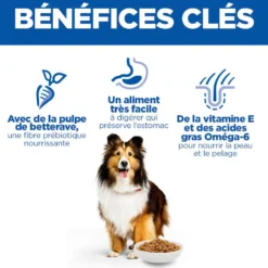 Hill's Science Plan Sensitive Stomach & Skin Medium & Large Adult au poulet - croquettes chien