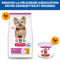 Hill's Science Plan Small & Mini Adult en mousse au bœuf - pâtée chien