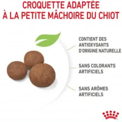 Hn Puppy Medium 10kg