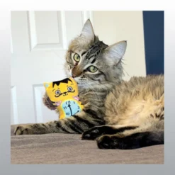 Jouet Artz dali / Van gogh pour chat
