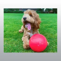 Jouet Boomer Ball