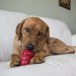 Jouet Classic KONG - Jouet à mâcher pour chien