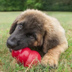 Jouet Classic KONG - Jouet à mâcher pour chien