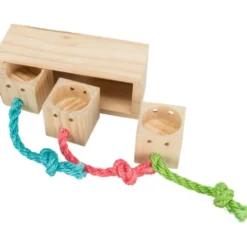 Jouet Cube Snack rongeur