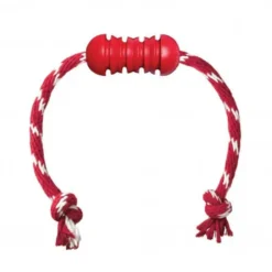 Jouet Dental Kong chien