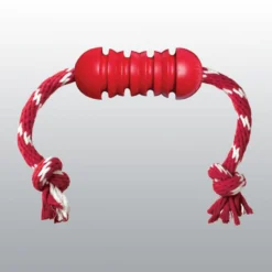 Jouet Dental Kong chien