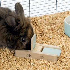 Jouet distributeur Dorix lapin, rongeur