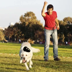 Jouet Extreme Kong à mâcher ultra-résistant chien
