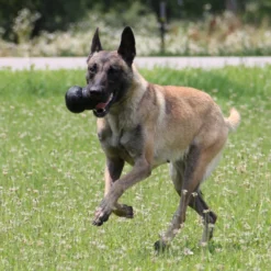 Jouet Extreme Kong à mâcher ultra-résistant chien