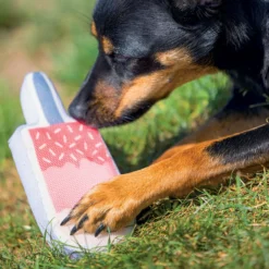 Jouet flottant Glace chien