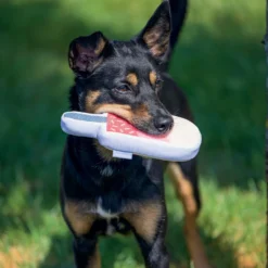 Jouet flottant Glace chien