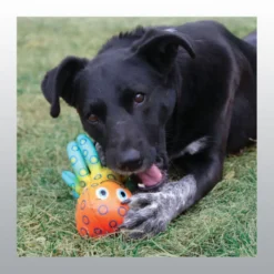 Jouet flottant Kong Shieldz Octopus chien