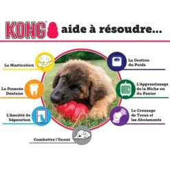 Jouet Kong chiot
