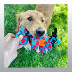 Jouet Kong signature dynos pour chien