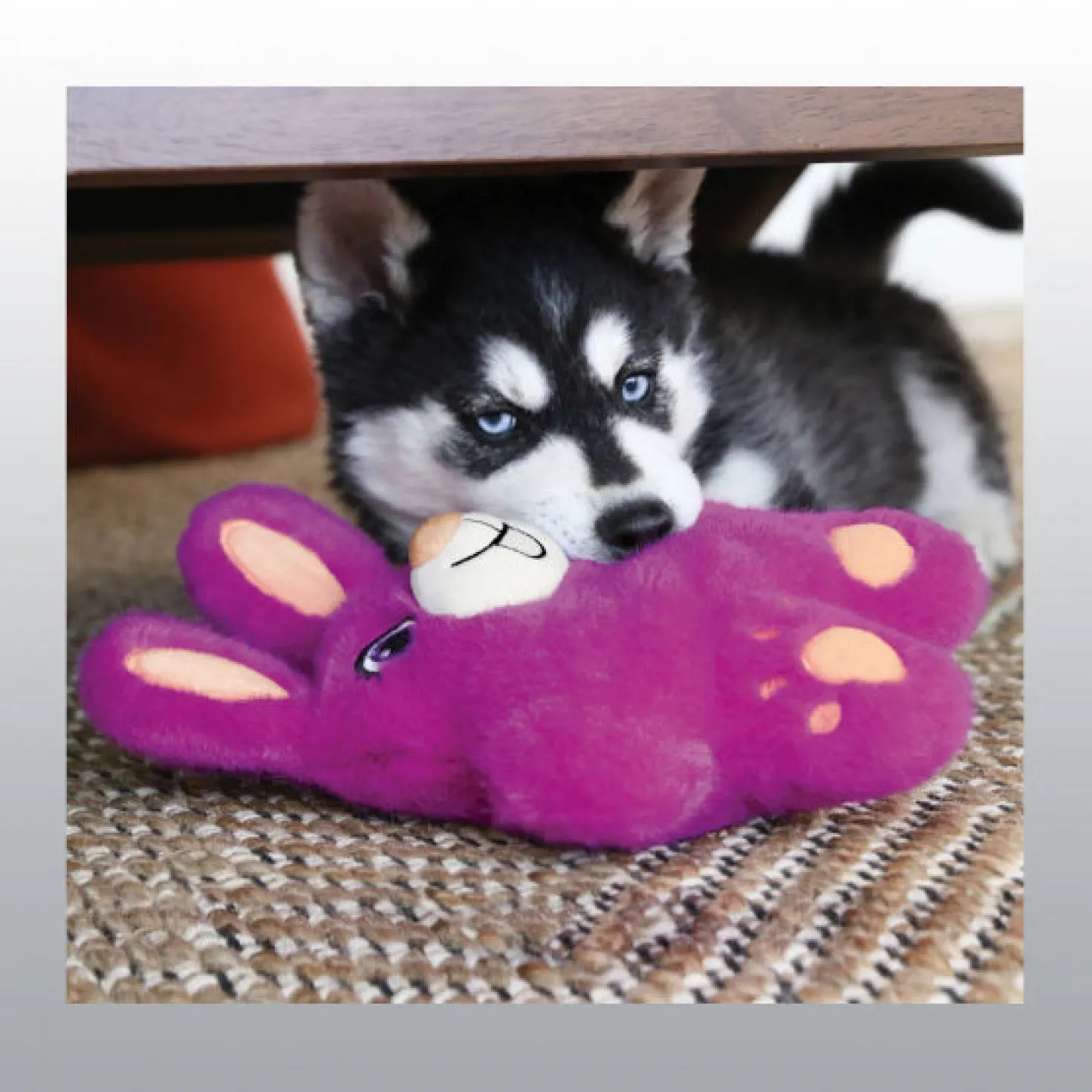 Jouet Kong Snuzzles Bunny chien