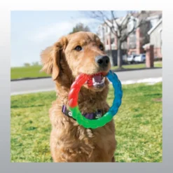 Jouet Kong Twistz Ring chien