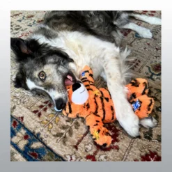 Jouet Kong Wild Knots Tiger chien
