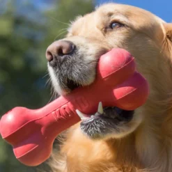 Jouet à mâcher Os Goodie Bone de Kong chien