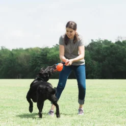Jouet Rope Fetch ballon 3 en 1 chien