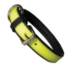 Julius K9 - Collier IDC Lumino
