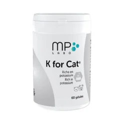 K for Cat chat, chien