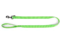 Laisse Classic Nylon