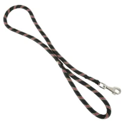 Laisse corde en nylon chien
