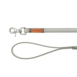 Laisse en cuir grise Be Nordic chien