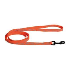 Laisse fluo fish star