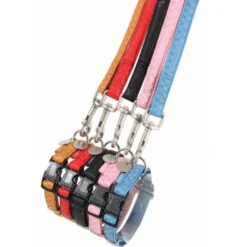 Laisse Mac Leather rouge chien