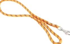 Laisse nylon corde