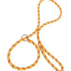 Laisse nylon corde lasso