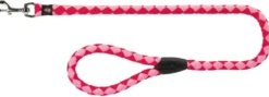 Laisse pour chien Cavo