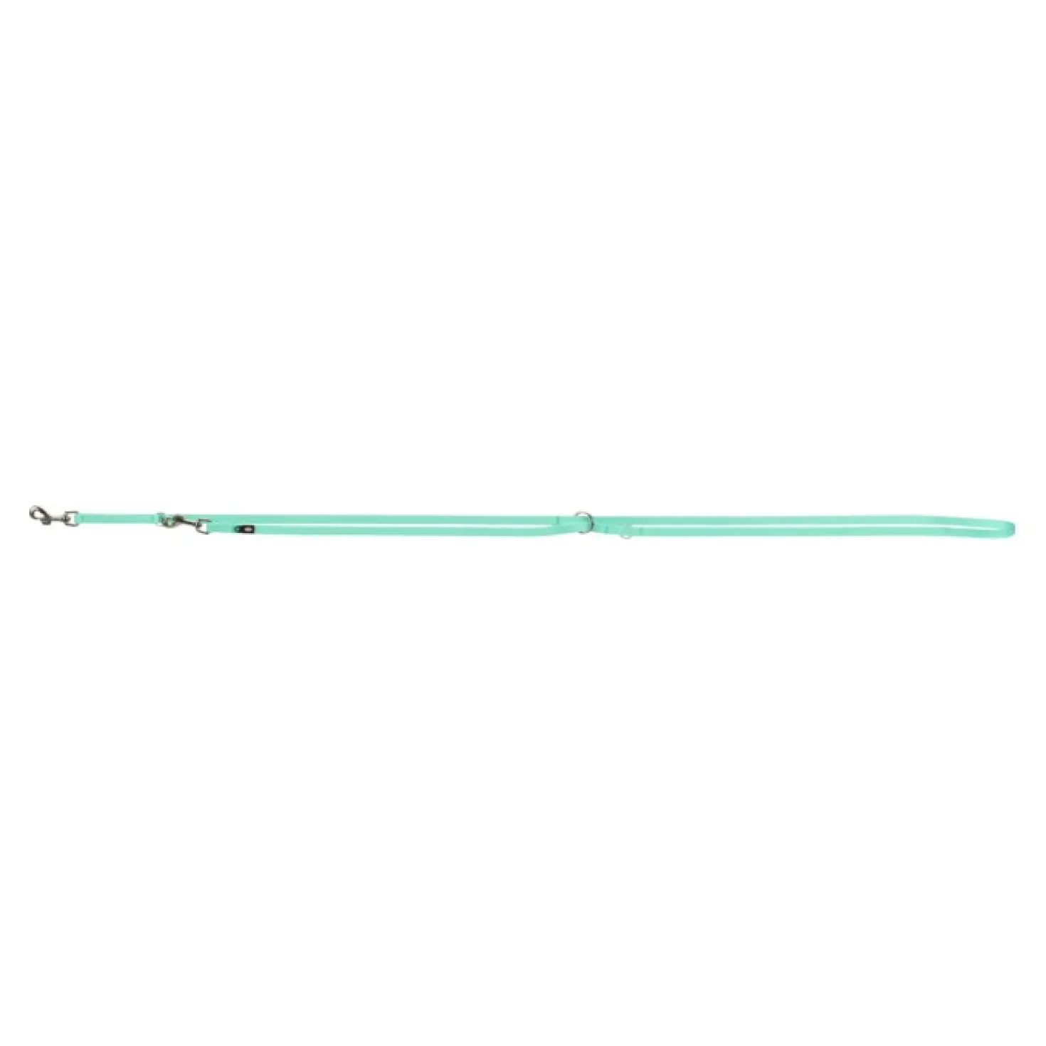 Laisse Premium réglable vert menthe chien