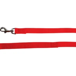 Laisse unie chien