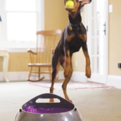 Lanceur de balles automatique chien