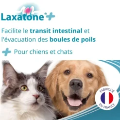 Laxatone Plus - chien, chat