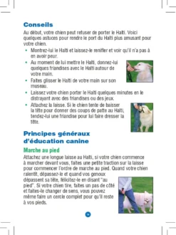Licol Halti chien