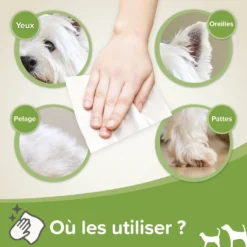 Lingettes nettoyantes à l'aloe vera