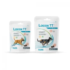 Locox TT chien