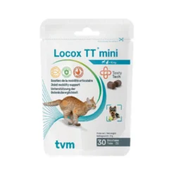 Locox TT mini chat, chien