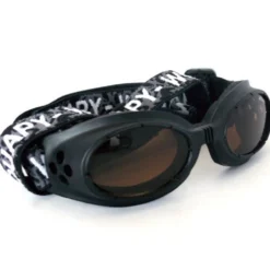 Lunettes de soleil chien