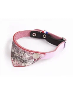 Martin Sellier - Chat - Collier cuir Miami et bandana