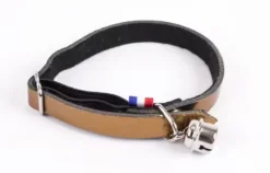 Martin Sellier - Chat Collier Dakota