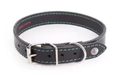 Martin Sellier - Chien - Collier cuir Flash couture fluo