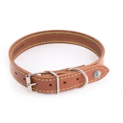Martin Sellier - Chien - Collier cuir Flash couture fluo