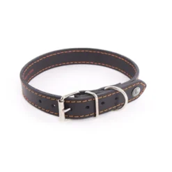 Martin Sellier - Chien - Collier cuir Flash couture fluo