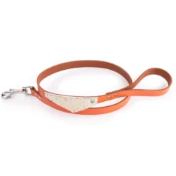Martin Sellier - Chien - Laisse cuir Miami et bandana